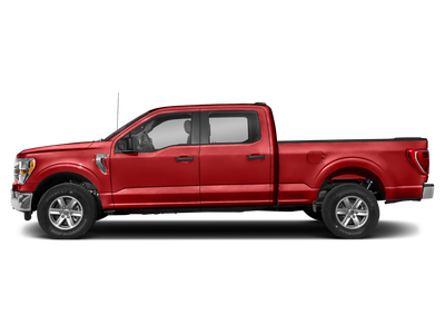 2023 Ford F-150 XLT XLT