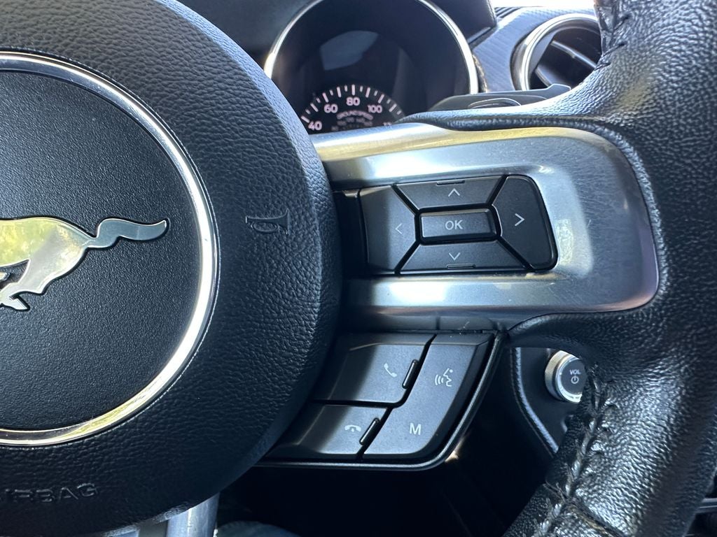 2019 Ford Mustang EcoBoost